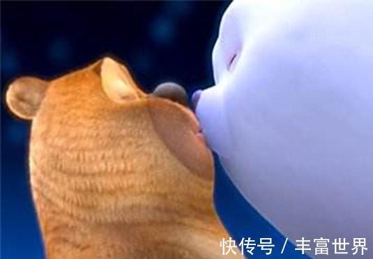 光头强|熊出没:最般配的五对情侣,光头强纳雅各有归属,可怜赵琳注孤生
