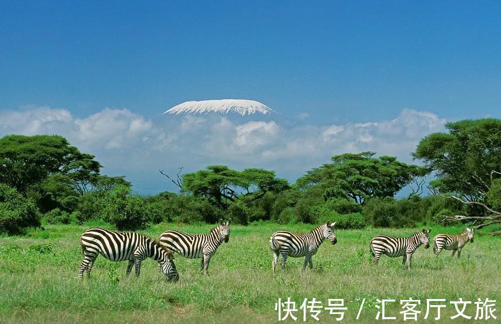 亚马逊雨林|恐将消失的10大美景，看到最后两个，我无语了……