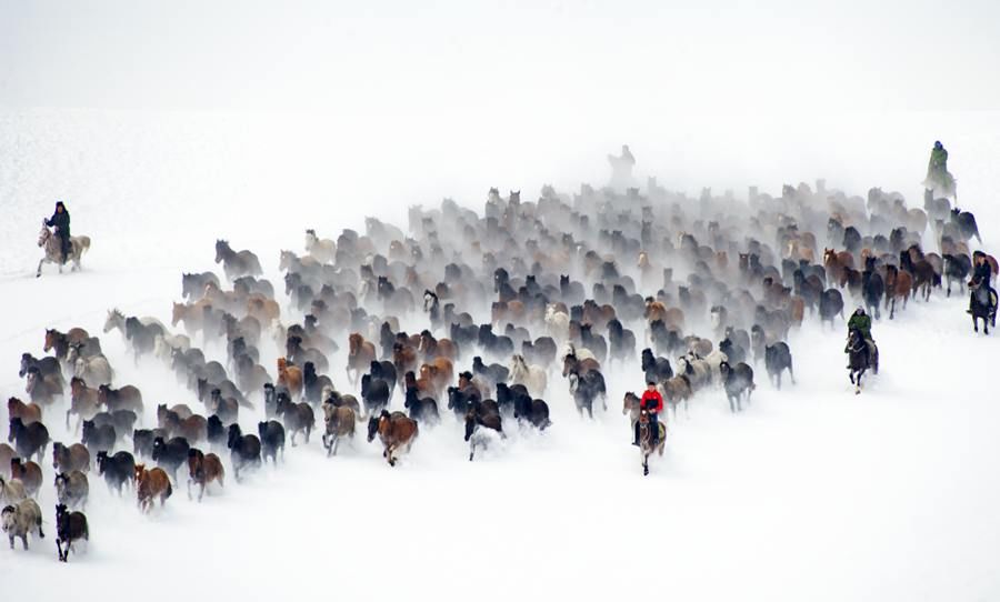 新疆|新疆昭苏：冰雪民俗游带动农牧民致富增收