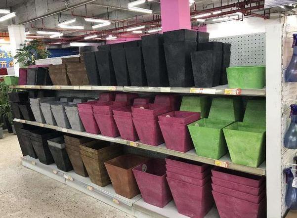 养花太''烧钱''用它们制作漂亮花盆栽种植物，乐趣多、实用