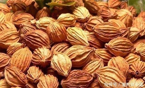 不论炖什么肉，多加这2种香料，保证肉越炖越香，越炖越烂，贼棒