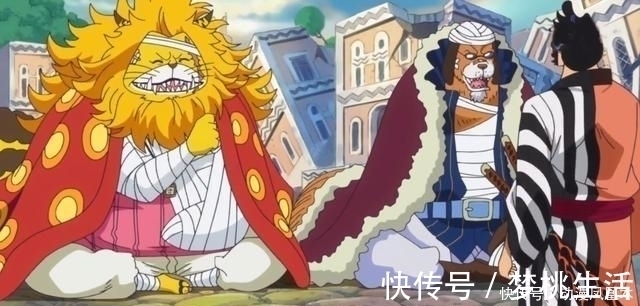 佩德羅|海賊王 5只月亮獅子帥氣, 佩德羅霸氣, 加洛特高冷, 貓蝮蛇肥壯