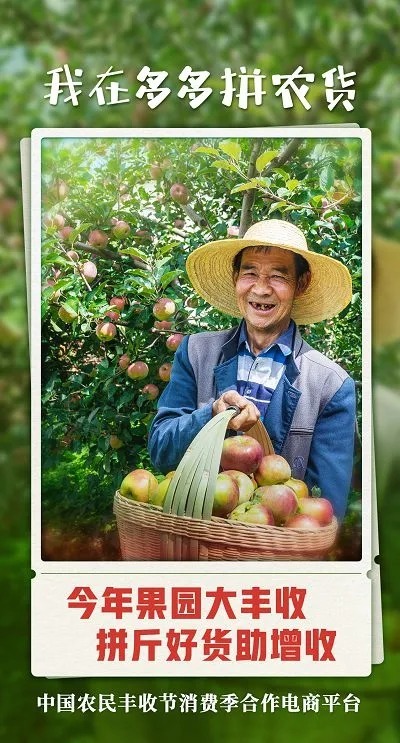 京东|在天猫京东的“楚河汉界”，拼多多另辟蹊径，走向不一样的双十一