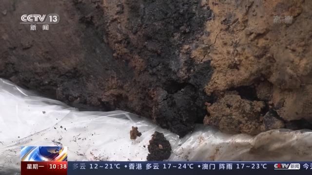 三星堆出土象牙如何保存？高分子材料为其“敷上面膜”