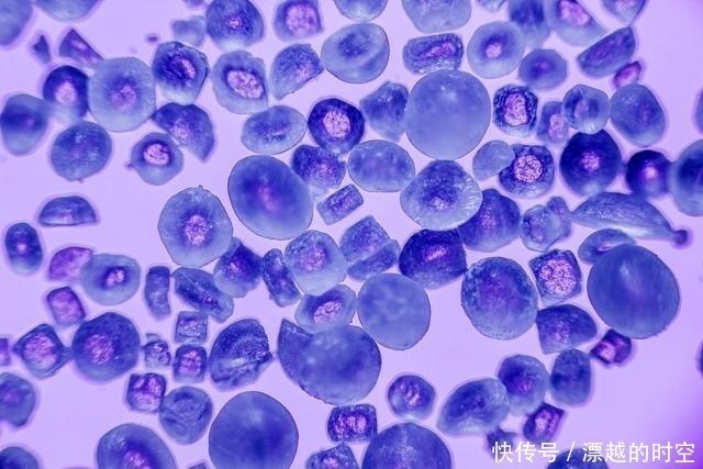 医生|为什么高血压难以控制医生祸根不是盐,而是它!一文为您支招