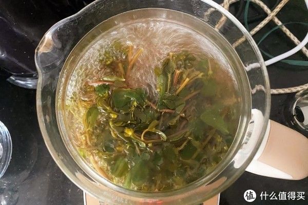 马齿笕|夏天的宝,农民的草马齿苋