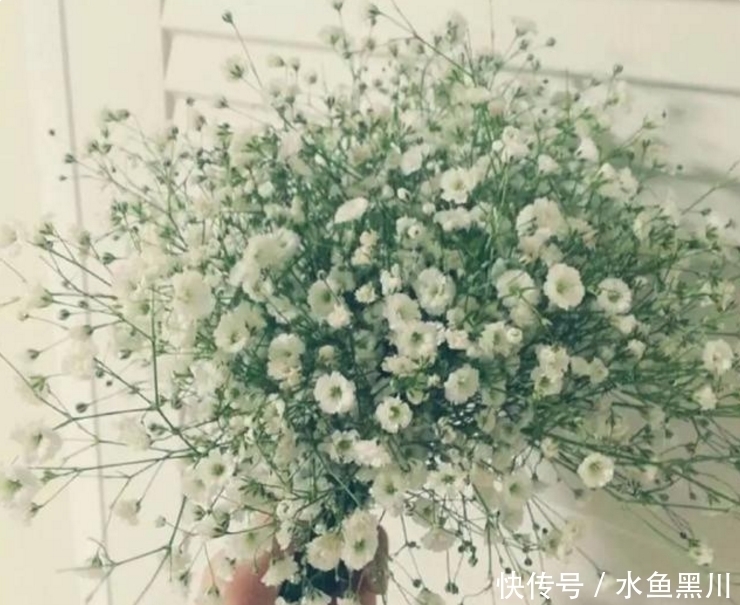 楼璹|六首“早安”诗词:风动影动心不动,独自沉香待花开