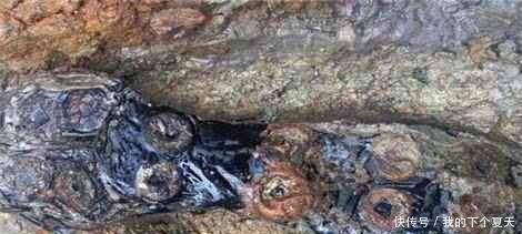 韩国出土26枚五铢钱, 专家奉为国宝去申遗, 不曾想被狠狠打脸!