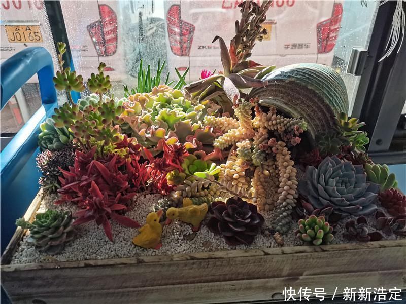 一路繁花似锦 呈贡游1路公交车盛装出发