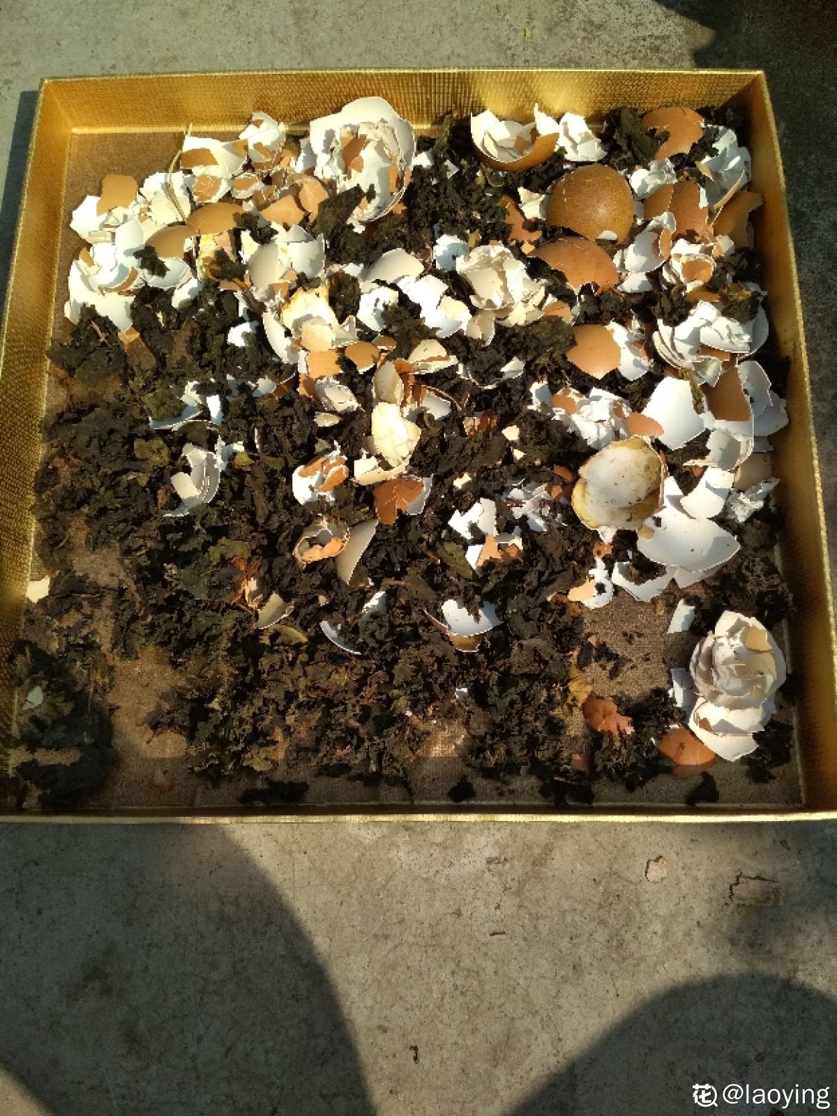 老人|茶叶扔掉太浪费，泡过的、过期的还能这样用，家里老人都不知道