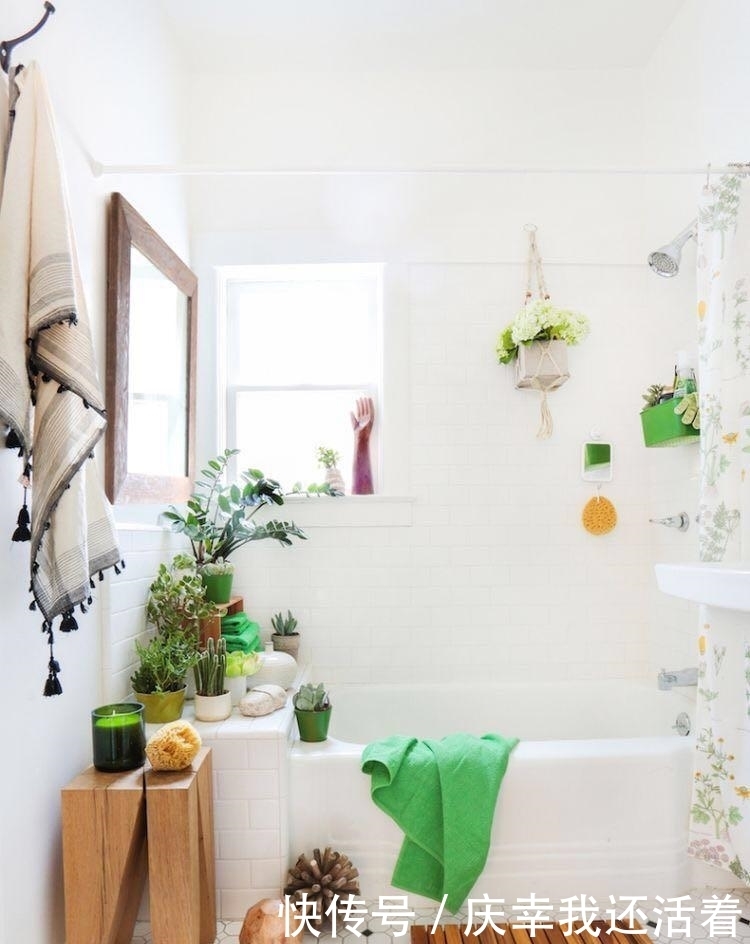 媳妇儿,你把卫生间都种成了花园,人家都不好意思在里面蹲坑了!
