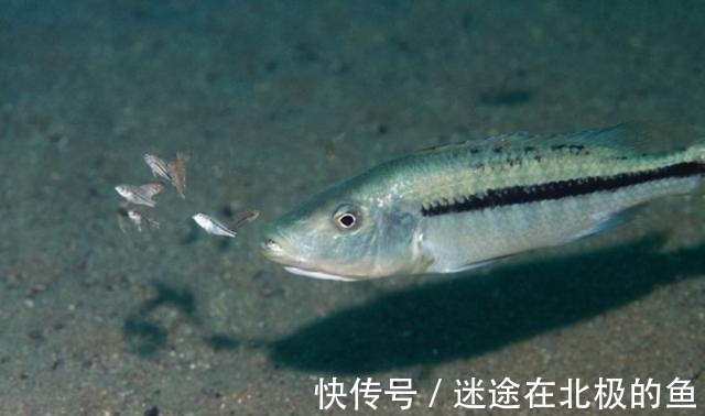 诞生#完美契合!世界上第一对男女如何诞生,为何生理、性格相互适应?