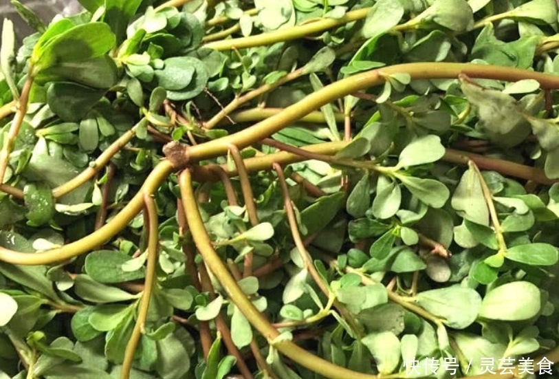 菜籽油|6成人瞧不上，却是“清肠高手”，准时上厕所，悄悄瘦回小蛮腰