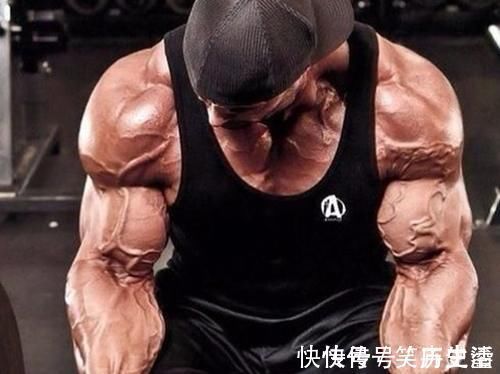 热量|针对健身新手的建议,让你少走弯路,提高增肌减脂速度