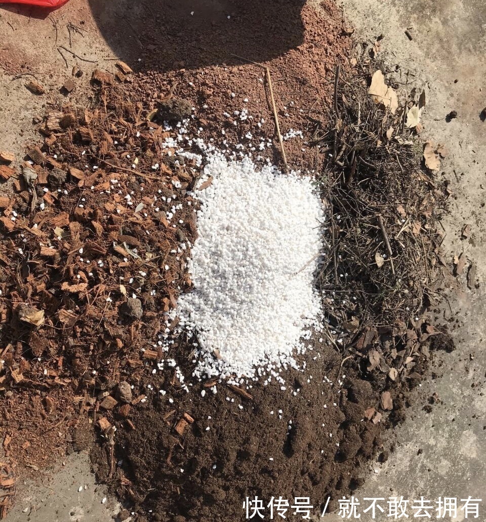 换盆的旧土别扔!加点“烂东西”,肥沃流油,养啥花旺啥花