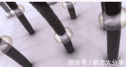 小马甲|一款“默默无闻”的洗发水,效果不输大牌,网友用完头发更好了!