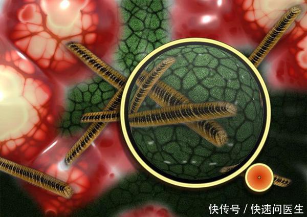 淋巴|“排毒骗局”按摩淋巴、汗蒸未必能排毒,你也可能不需要