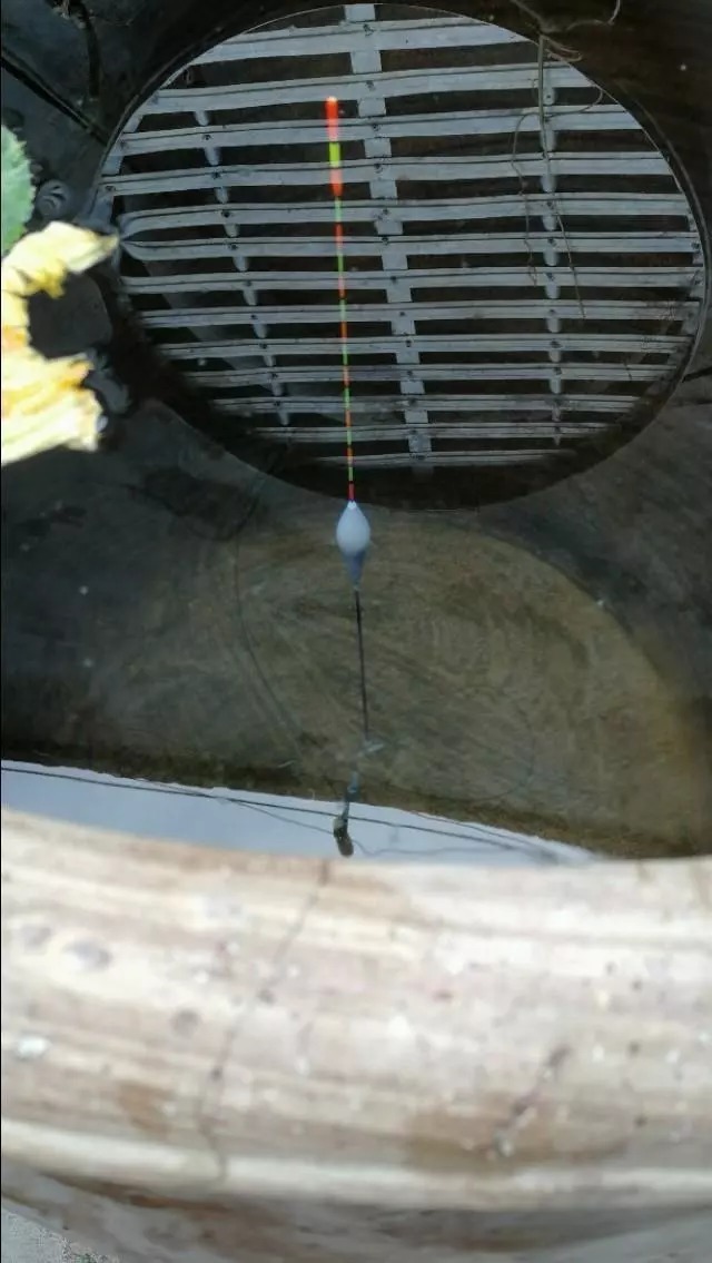 新手如何快速掌握调漂技巧,让你少走弯路,一步到位