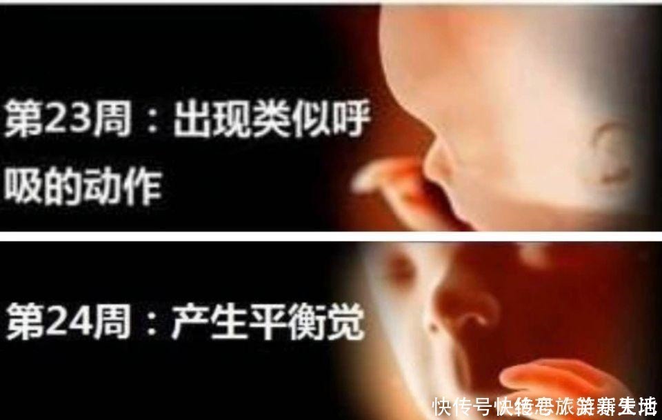 好处|孕期做四维有什么好处,什么时候做最好这个时候做是最好的