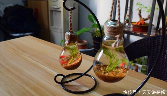 红砖、青瓦、烂木头,一定要拿来养花,一个比一个有韵味