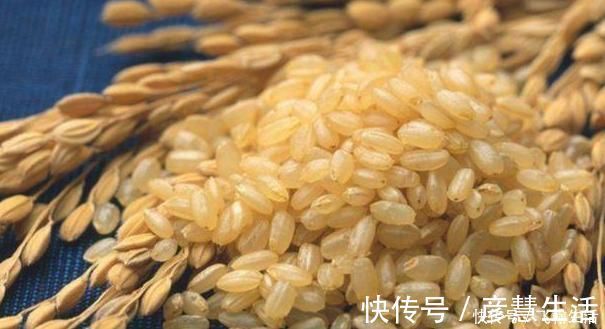 增强记忆|家里有小孩的,6种食物经常吃,增强记忆力,大脑更聪明