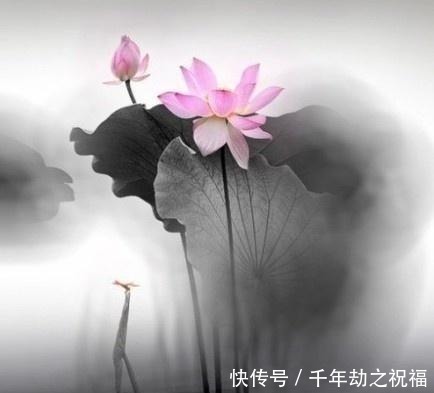  佛语|令人释怀的佛语禅心，经典睿智，受用一生！