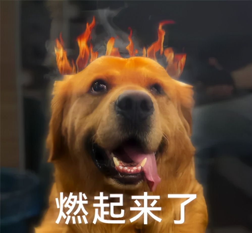 商家|饭圈卷钱跑路的骗子们，给大家展示了啥叫一地鸡毛