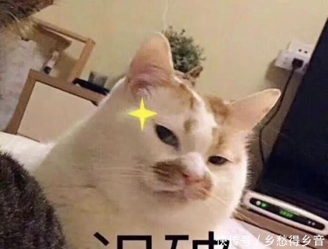 烘焙界最亲民的小甜品,拯救新手小白的自信心,仔细看完你就会做