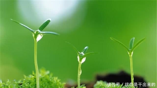 曾国藩家训|一个家族兴旺发达的三种“迹象”,若有一个,便是好事