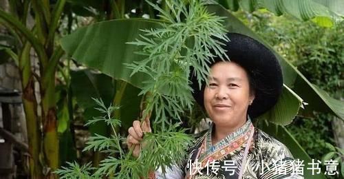 保养|女人不想妇科病来扰,三种食物轮着吃,帮你保养卵巢,预防妇科病