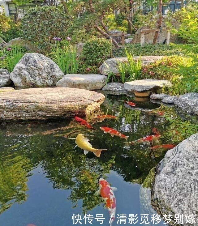 庭院|想有个带院子的房子,看花开叶落一辈子,让生活变成一件浪漫的事