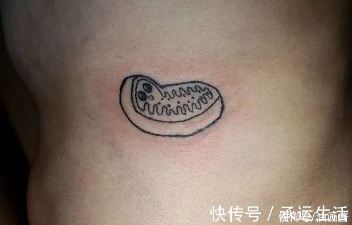 纹身师!不会画画的纹身师,纹出歪扭的小纹身,生涩俏皮让人忍俊不禁