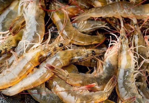 买大虾时，牢记3个关键点，轻松买到优质大虾，口感好又新鲜