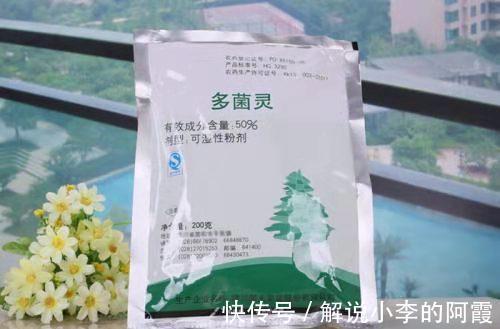 家里养花使用杀菌剂,这些别乱用和混用