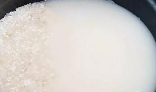 矿泉水瓶|养花:用这些“神奇水”浇灌,盆栽开花变多、叶片绿如冒油