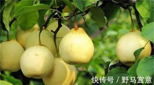 慢性单纯性咽炎|它是咽炎的“救星”,喝水时加一点,养咽护喉,一天比一天好