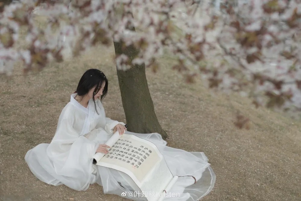 公元!为什么说:“少不读苏东坡,老不读辛弃疾”?