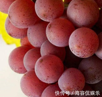 葡萄|爱吃葡萄的人，长寿不会远离你，但吃葡萄有1大禁忌，要了解下
