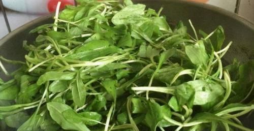 女性不想老太快，推荐吃3种食物，补血养气、滋补身体，试试看