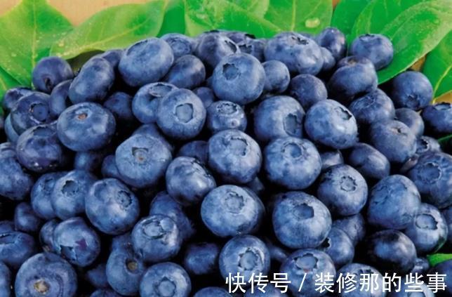 家庭|家庭盆栽:收集种子培育这3种果树,想偷懒时,不出门就能吃上