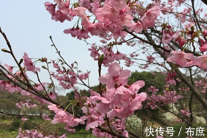 在职场|2月以后运势得印星相助，事业上会越来越好的3大生肖