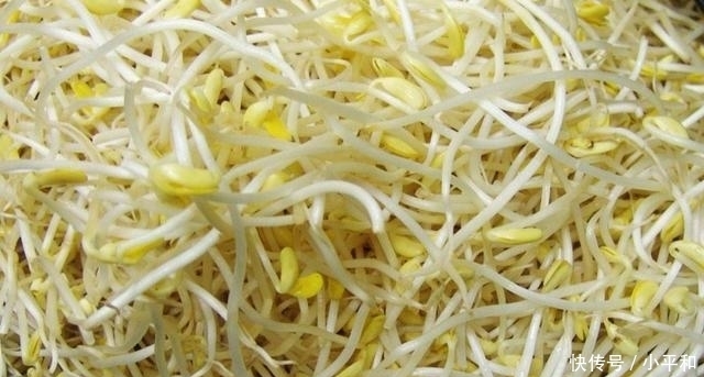 黄豆芽6种最好吃的做法,每种都简单美味,看看你喜欢吃哪种?