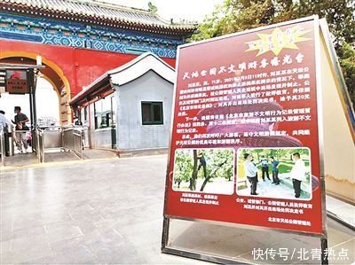 曝光台|防游客爬树摔伤 天坛公园定期摘杏