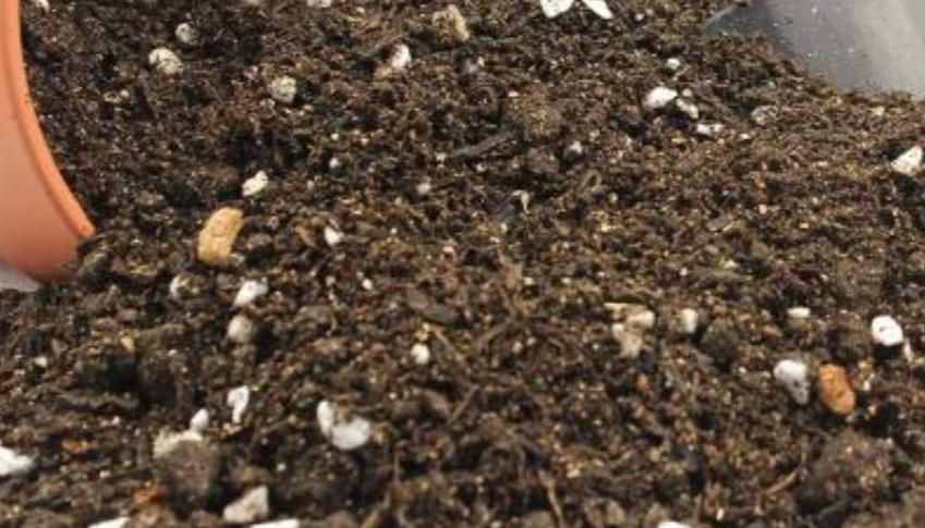 不花一分钱,配制最好的营养土,适合用于养护各种花卉