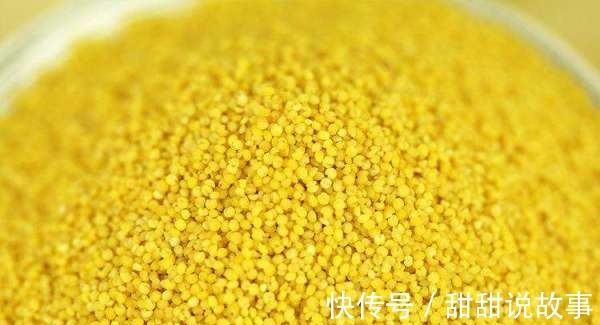 致病|煮小米粥时不可放“它们”，严重可“致病”，谁知道谁不生病