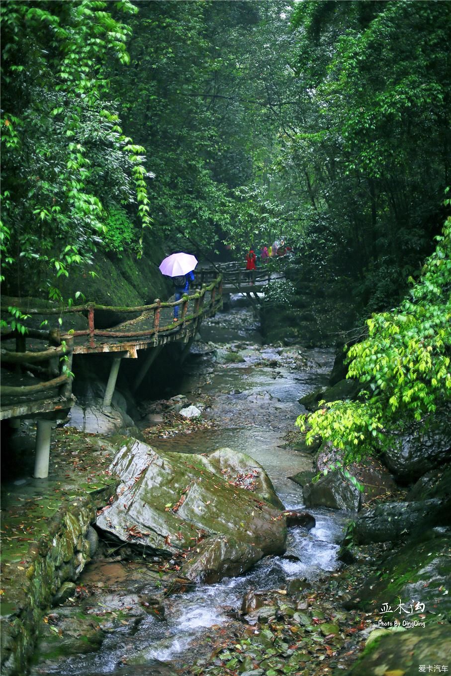 梵净山升仙之山，超越时空的净地，世间难得的一方净土