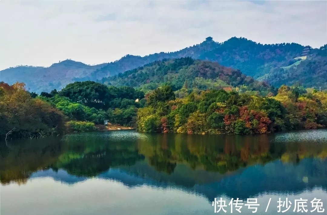 立秋丨云天收夏色,木叶动秋声。古诗词中