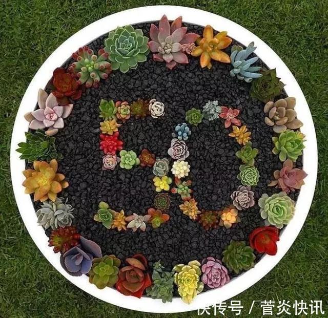 灵感|多肉拼盘玩一次就上瘾,这些创意拼法,你一定喜欢