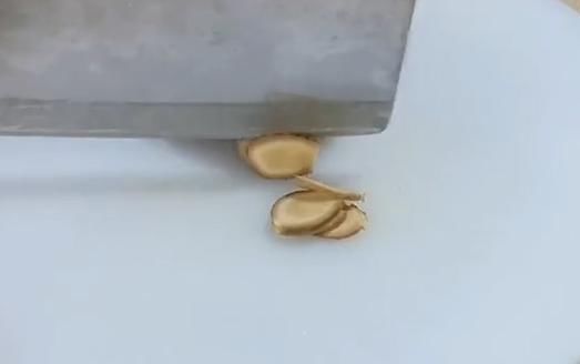 牛肉|小炒牛肉有诀窍,做法简单,鲜香美味,鲜嫩爽滑,超级好吃