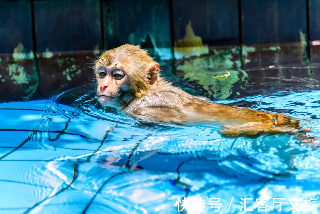 香水湾|媲美巴厘岛，北纬18°绝美海岸线，海南这个宝藏地比三亚人少景美